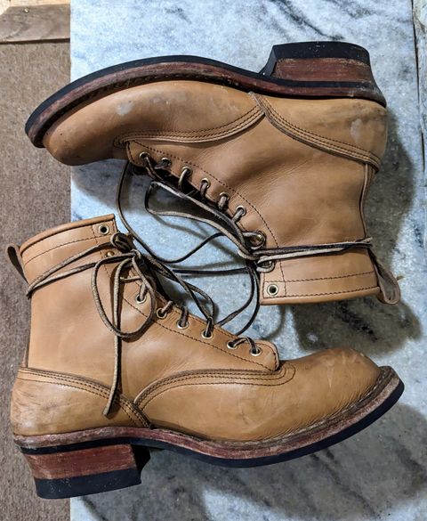 Photo by Homer346 on February 2, 2023 of the Nicks Lace To Toe in Seidel 1964 Tan.