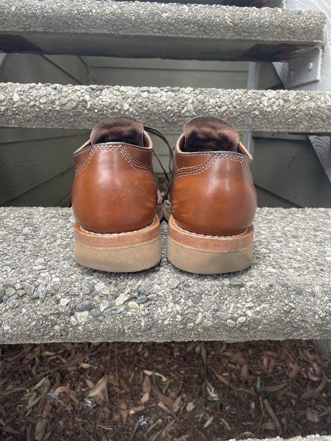 Photo by mrchaselm on February 3, 2023 of the White's Oxford in Horween British Tan Chromexcel.
