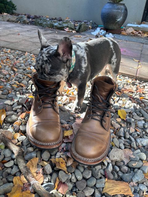 Photo by Way2Jeff on November 5, 2024 of the White's Semi-Dress in Horween Natural Chromexcel.