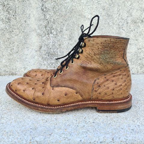 Photo by nutztee on March 3, 2024 of the Grant Stone Diesel Boot in Ranger Ostrich.