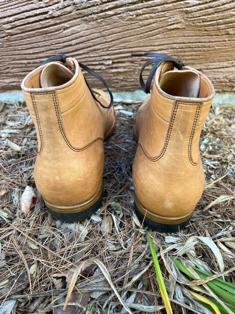 Photo by cronmok on October 1, 2022 of the Iron Boots Devil Dog in Maryam Washed Natural Horsefront.