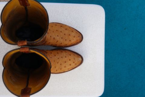 Photo by tekufu on February 5, 2024 of the Cowtown Boots J Toe in Cognac Ostrich .