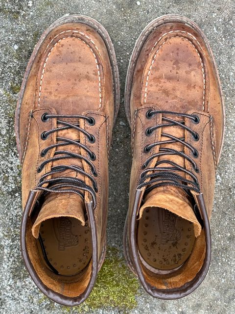 Photo by lee.goodson on March 2, 2024 of the Red Wing 6-Inch Classic Moc in S.B. Foot Copper Rough and Tough.