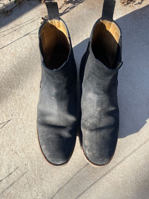 Photo by thelibertytree on March 5, 2023 of the Mark Albert Chelsea Boot in C.F. Stead Black Waxy Commander Suede.