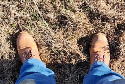 Photo by Zeonic on January 5, 2023 of the Red Wing Iron Ranger in S.B. Foot Copper Rough and Tough.