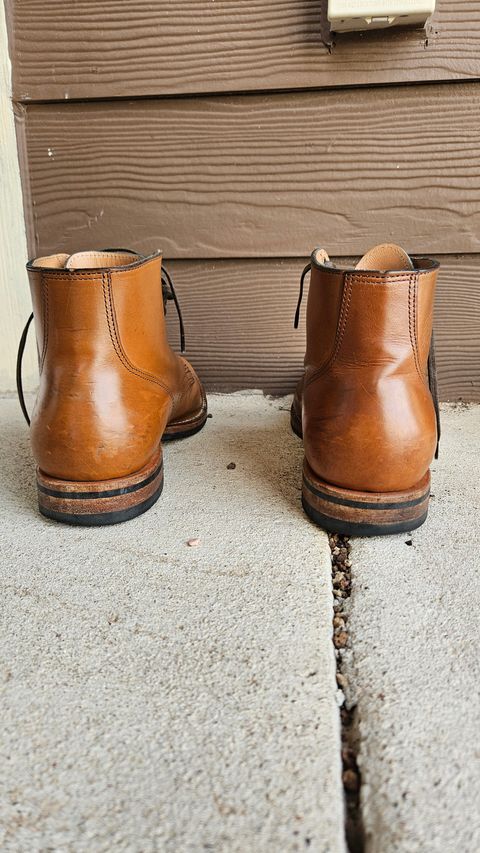 Photo by spicytakito on April 3, 2025 of the Viberg Service Boot BCT in Horween Chestnut Essex.