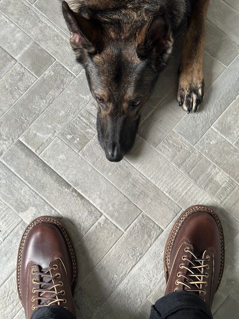 Photo by incorrectpath on October 1, 2025 of the White's 355 Cutter in Horween Brown Chromexcel.