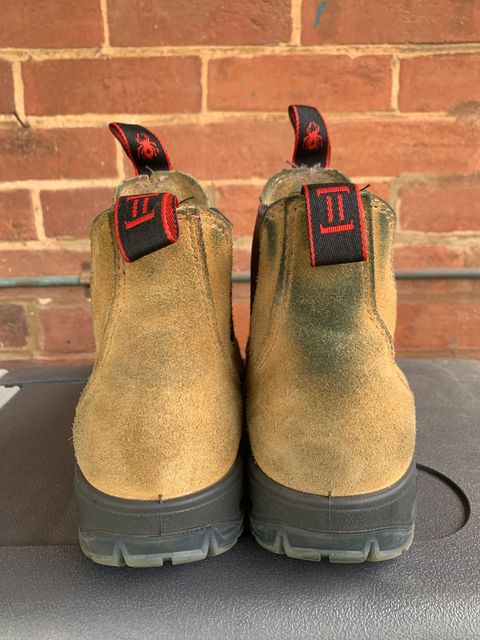 Photo by TheMorrie on October 5, 2025 of the Redback Bobcat in Banana Suede.