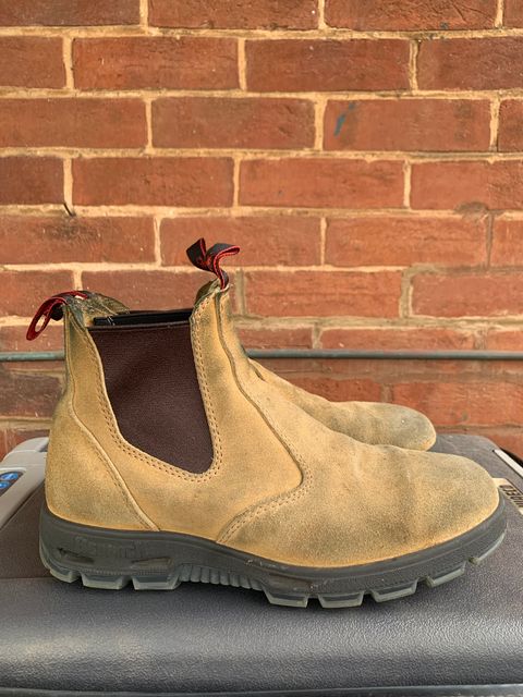 Photo by TheMorrie on October 5, 2025 of the Redback Bobcat in Banana Suede.