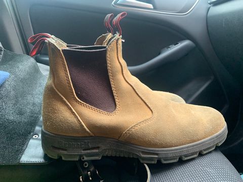 Photo by TheMorrie on November 5, 2025 of the Redback Bobcat in Banana Suede.