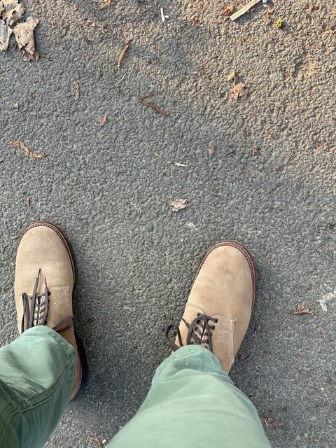 Photo by init on March 26, 2025 of the Alden Plain Toe Boot in Tan Suede.