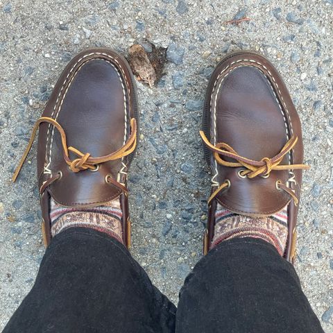 Photo by RemyTwotimes on November 11, 2024 of the Oak Street Bootmakers Camp Moc in Horween Brown Chromexcel.