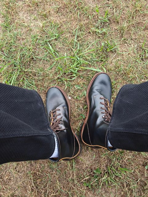 Photo by blacklotusleather on June 27, 2026 of the Red Wing Beckman Flatbox in S.B. Foot Black Klondike.
