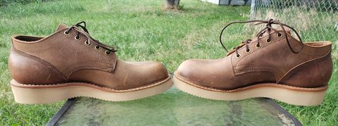 Photo by TorreEgger on June 17, 2023 of the White's Oxford in Seidel Distressed Smooth.