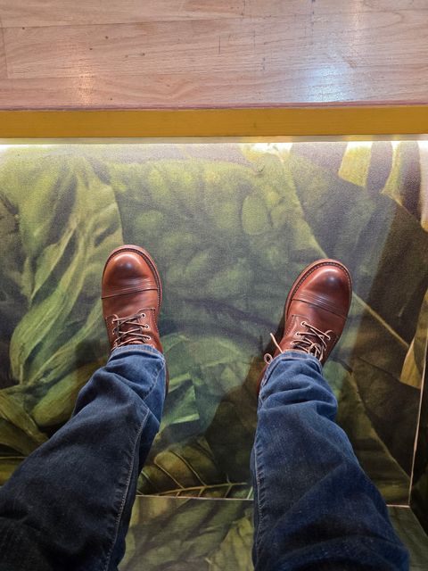 Photo by kananaios on September 27, 2025 of the Red Wing Iron Ranger in S.B. Foot Amber Harness.