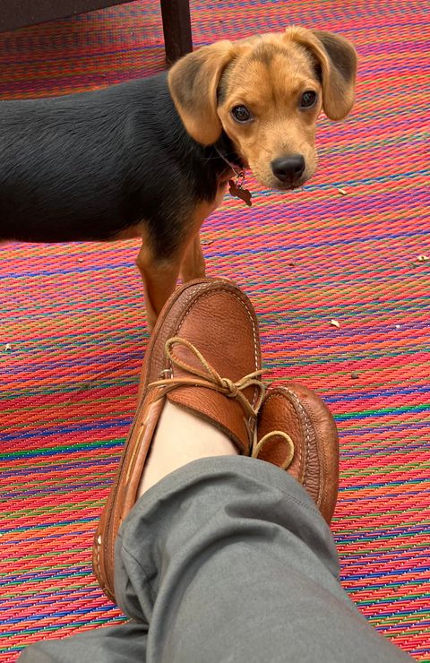 Photo by jbyer111 on August 16, 2025 of the Town View Ole Maine Comfort Classic Double Sole Moccasin in Unknown Top Grain Bullhide & Unknown Deerskin Lining.