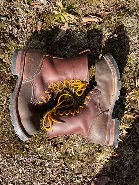 Photo by DaveFromAccounting on February 3, 2024 of the Nicks BuilderPro in Seidel 1964 Brown Roughout.