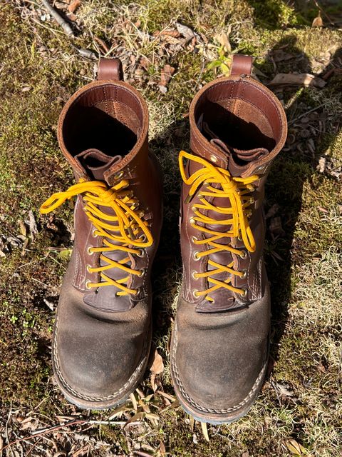 Photo by DaveFromAccounting on February 3, 2024 of the Nicks BuilderPro in Seidel 1964 Brown Roughout.