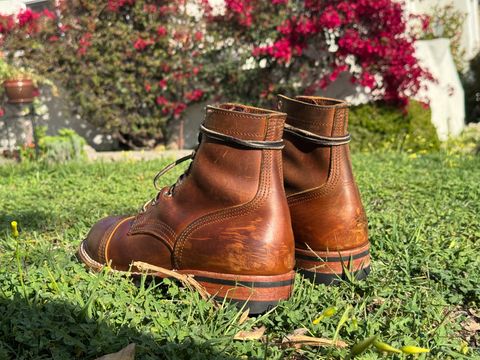 Photo by ham_boy00 on March 22, 2025 of the Nicks Americana in Horween Orange Predator.