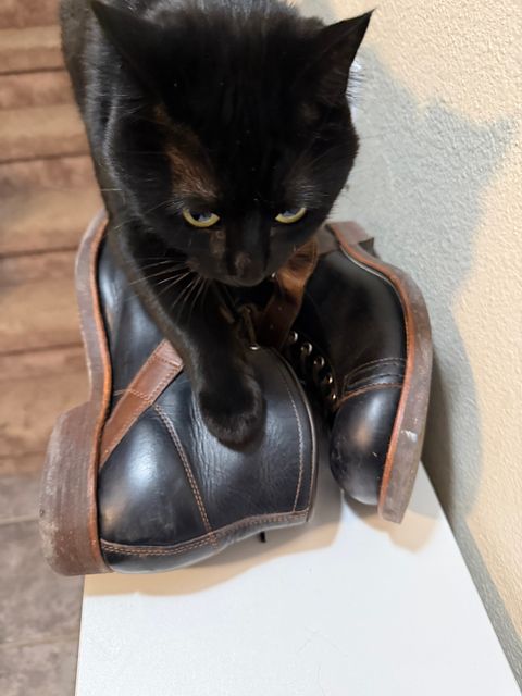 Photo by neocynn on January 3, 2026 of the Dr. Sole Ski Boot in Horween Black Chromexcel.