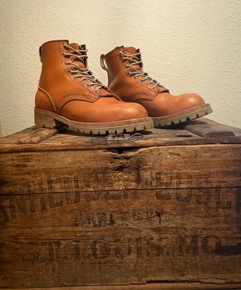 Photo by btstewart on January 5, 2025 of the Nicks MTO in Wickett & Craig Tan English Bridle.