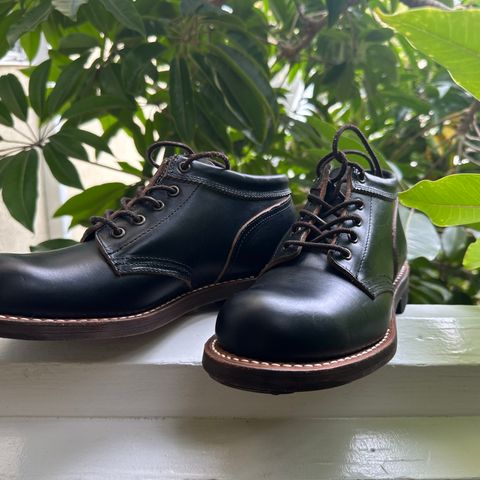 Rolling Dub Trio Coupen in Horween Black Chromexcel