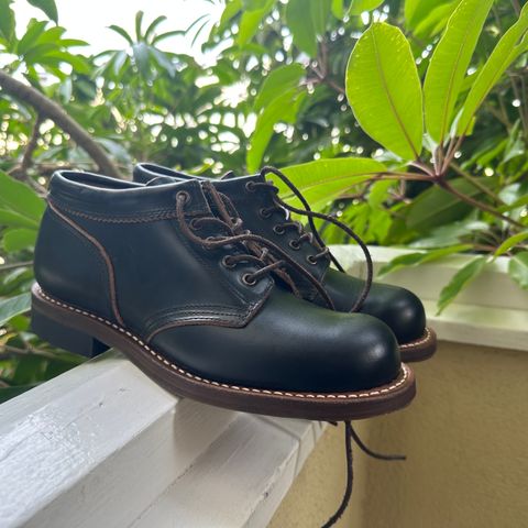 Rolling Dub Trio Coupen in Horween Black Chromexcel