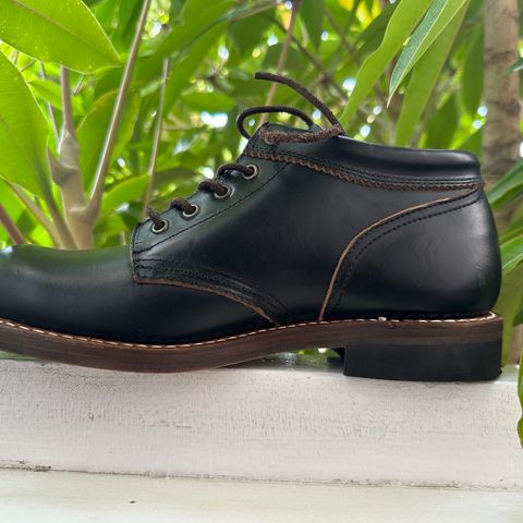 Rolling Dub Trio Coupen in Horween Black Chromexcel