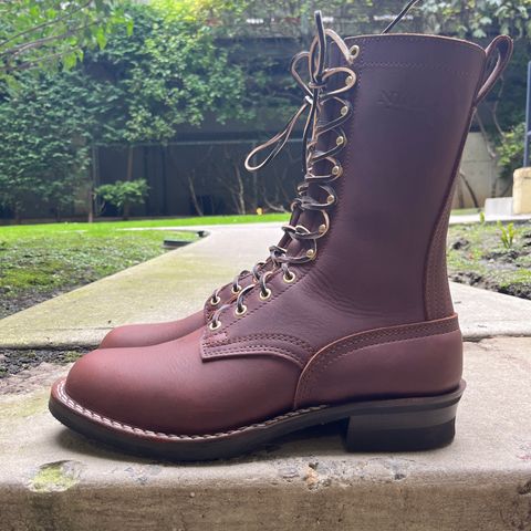 Nicks Ranger in Seidel 1964 Chocolate