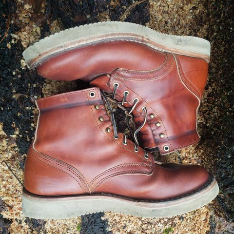 Nicks Free Range in Wickett & Craig Tan Oiled Latigo