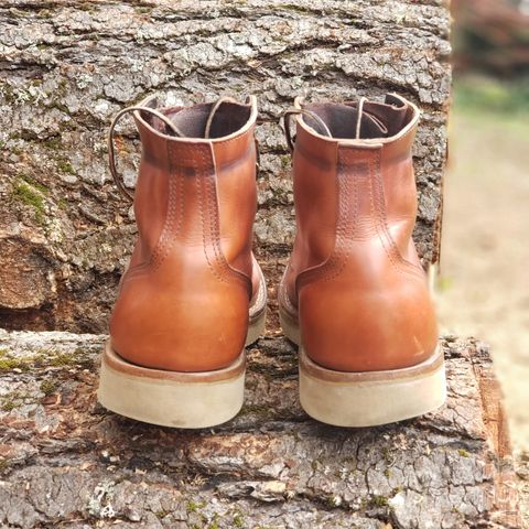 Nicks Free Range in Wickett & Craig Tan Oiled Latigo