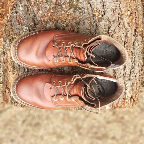 Nicks Free Range in Wickett & Craig Tan Oiled Latigo