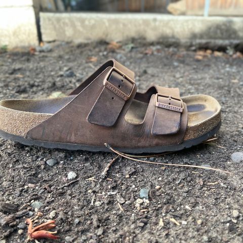 Birkenstock Arizona in Habana Oiled Leather