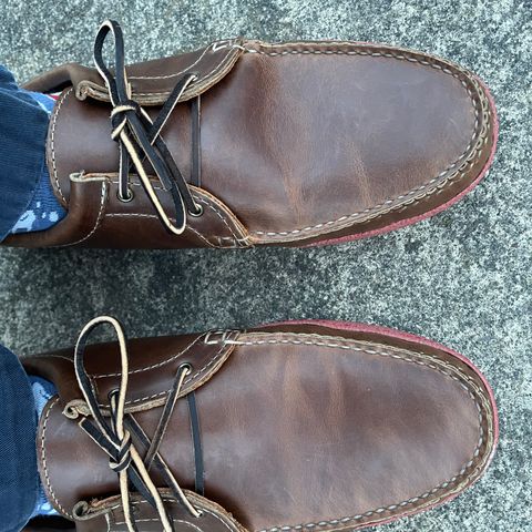 Quoddy Unlisted Model in Unknown Leather