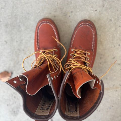Red Wing 8-Inch Classic Moc in S.B. Foot Oro Legacy