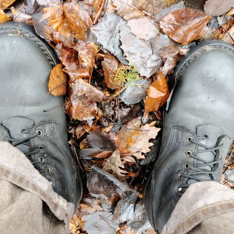Nicks Tactical in Seidel WeatherShield Black