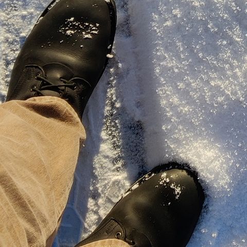 Nicks Tactical in Seidel WeatherShield Black