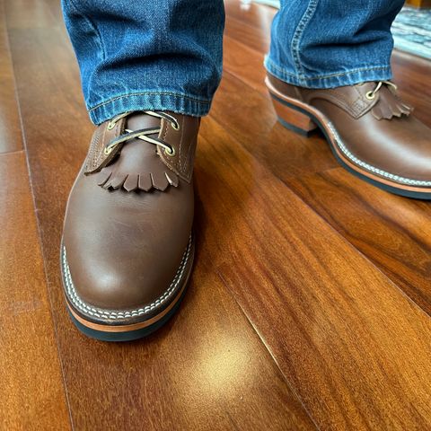 Nicks Packer in Seidel 1964 Brown