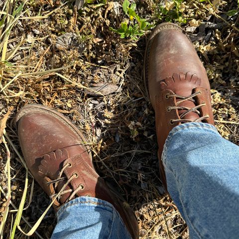 Nicks Packer in Seidel 1964 Brown
