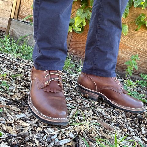 Nicks Packer in Seidel 1964 Brown