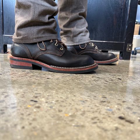 Nicks Falcon in Horween Brown Waxed Flesh