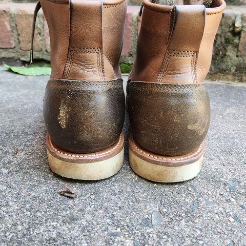 Viberg Bobcat in Horween Olive Waxed Flesh