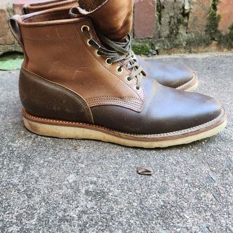 Viberg Bobcat in Horween Olive Waxed Flesh