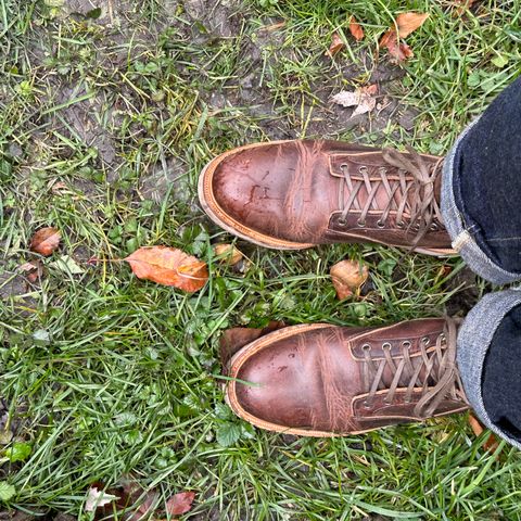 Search result thumbnail of Viberg Scout Boot in Horween Rowdy Dachshund