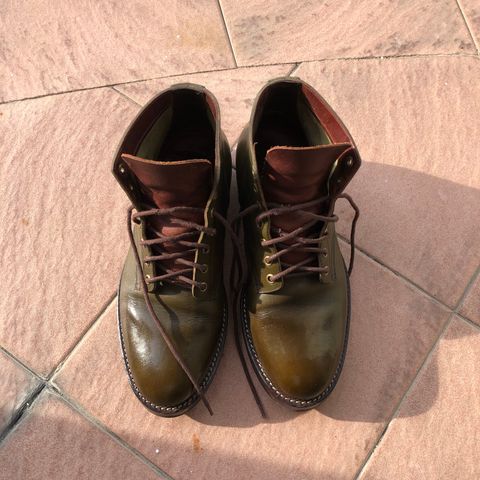 Onderhoud SVC01 Boondocker in Badalassi Carlo Olive Green Minerva