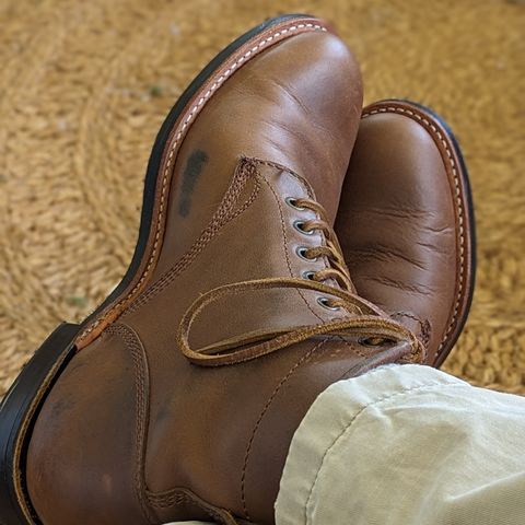 Dayton Boots Service Boot in Brown Chrome