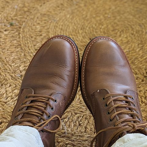 Dayton Boots Service Boot in Brown Chrome