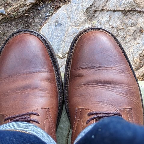 Oak Street Bootmakers Lakeshore Jump Boot in Seidel Trail Crazy Horse