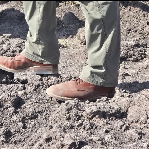 View photo of Alden Indy Boot in Brown Calfskin
