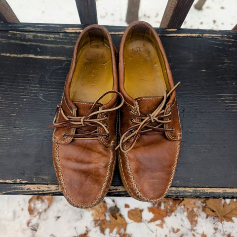 Quoddy Grizzly Moc in Maryam Fango Horsebutt